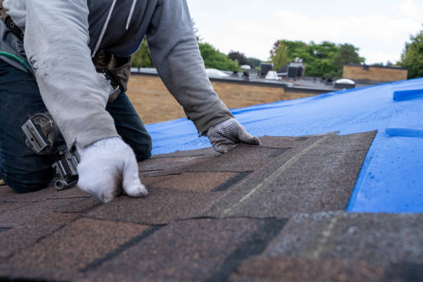 Best Roof Leak Repair  in Baldwin, LA