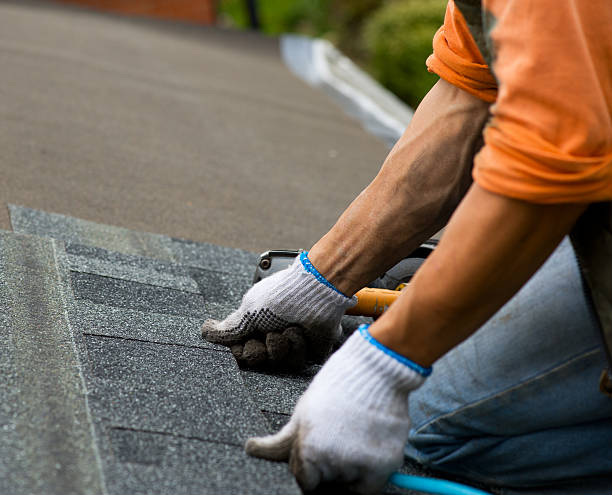Best Gutter Installation and Roofing  in Baldwin, LA